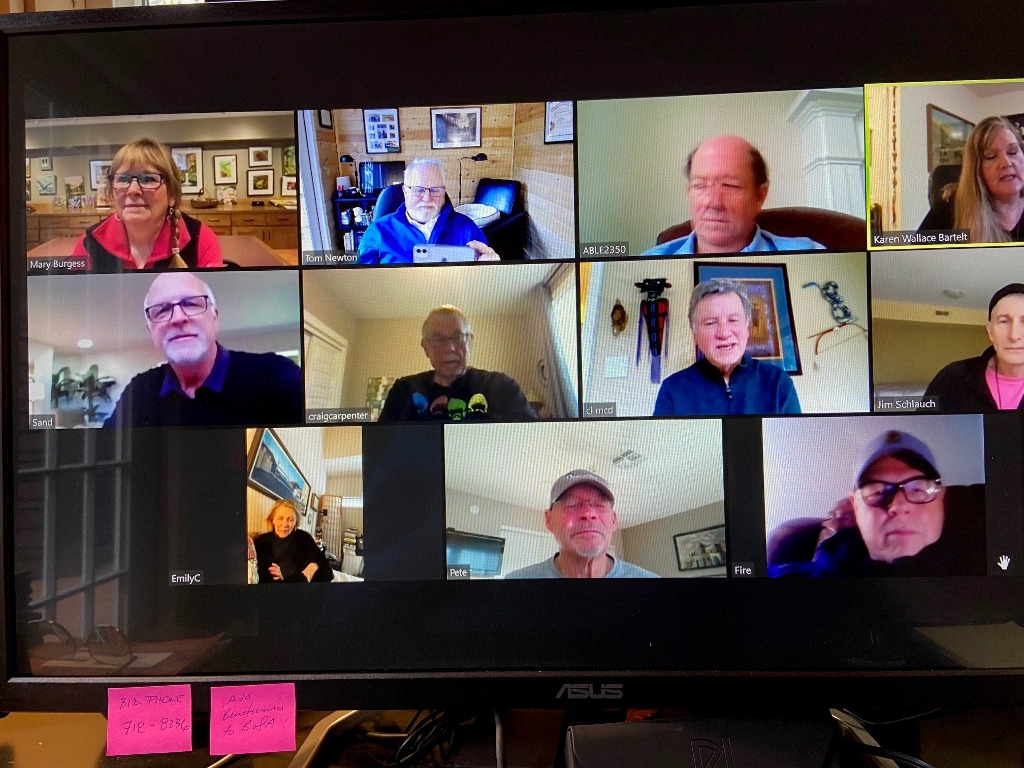 March 2021 Committee meeting by Zoom